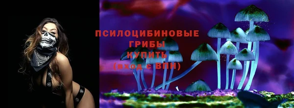 эйфоретик Алексин