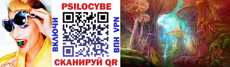 Псилоцибиновые грибы Psilocybe  ссылка на мегу ссылки  Печоры 